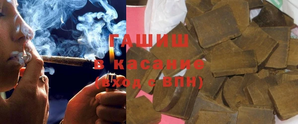 прущие грибы Горнозаводск