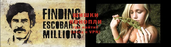 прущие грибы Горнозаводск