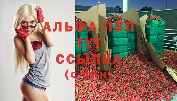 прущие грибы Горнозаводск
