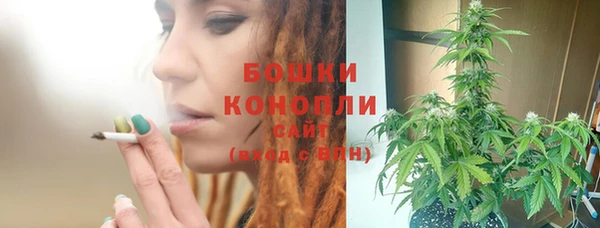 прущие грибы Горнозаводск