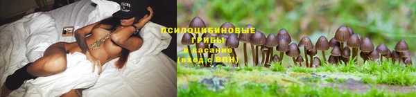 герыч Горно-Алтайск
