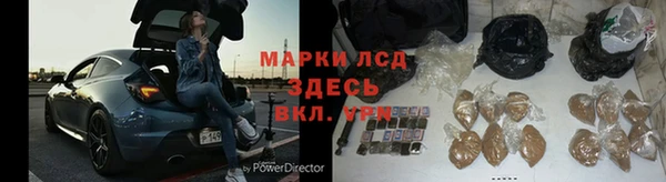 прущие грибы Горнозаводск