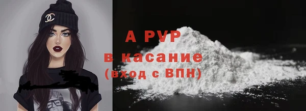 прущие грибы Горнозаводск