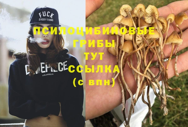 герыч Горно-Алтайск