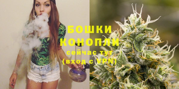 прущие грибы Горнозаводск