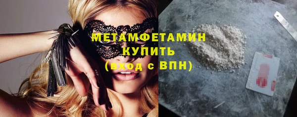 прущие грибы Горнозаводск