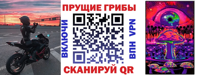 купить  сайты  Кисловодск  Галлюциногенные грибы Psilocybe 